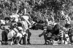 Rugby-5366