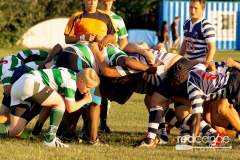 Rugby-5382