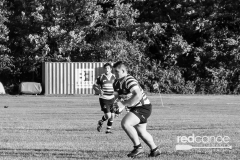 Rugby-5389