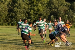Rugby-5390